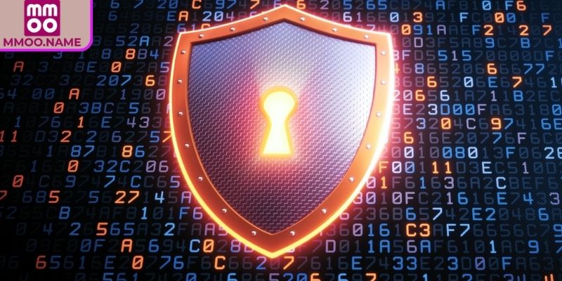 Cách thu thập thông tin
