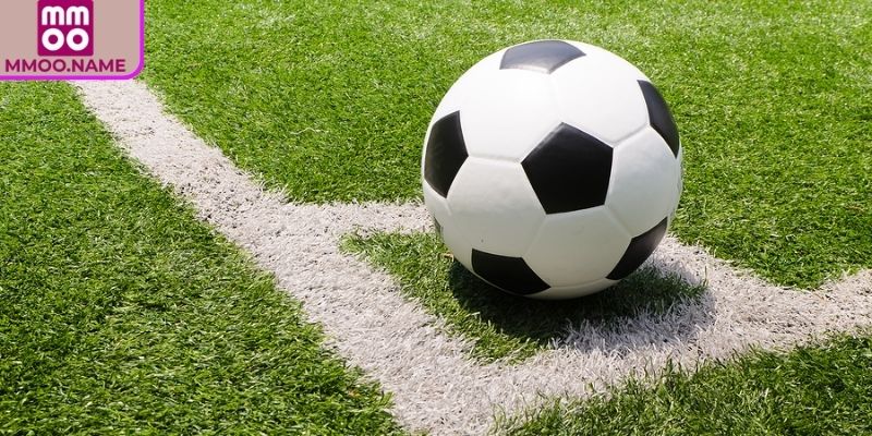 Đọc biến động tỷ lệ Odds