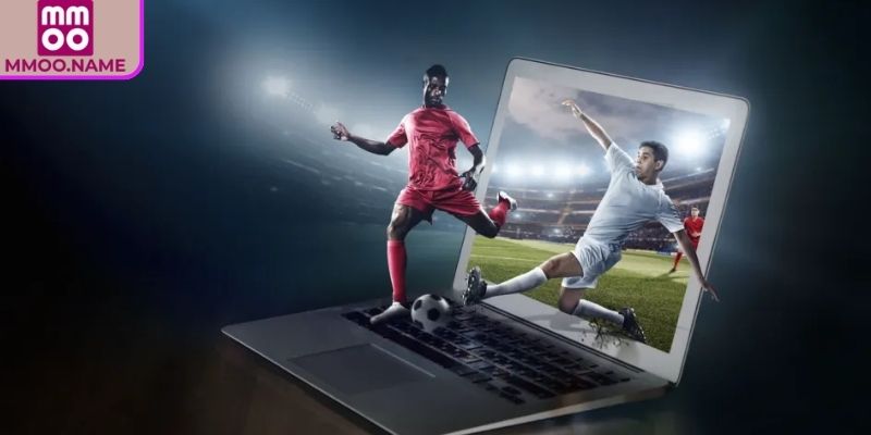 Đội cửa trên có ưu thế